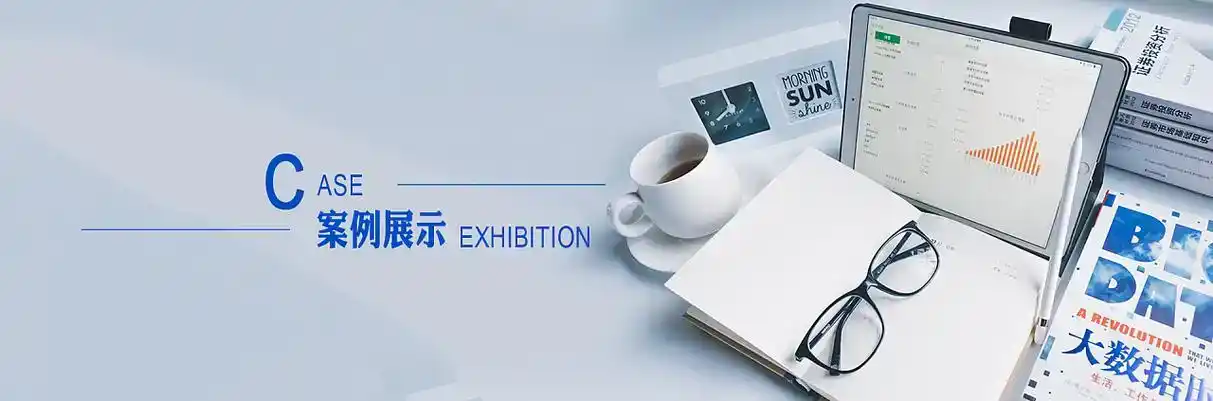 绥江县软件开发